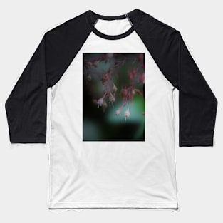 Coral Bells Baseball T-Shirt